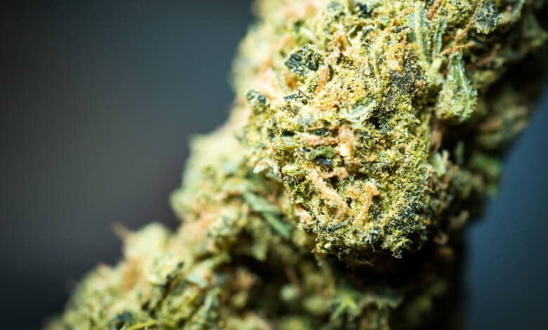 What Are The Different Types of THC