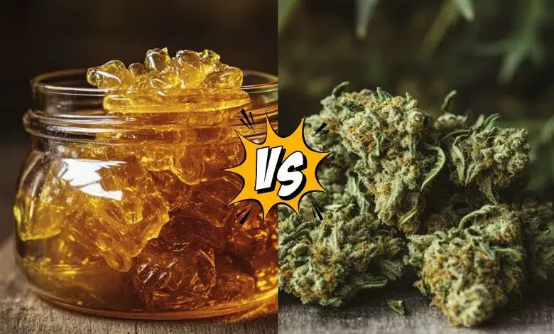 Cured Resin Vs Live Resin: Which Should You Choose?